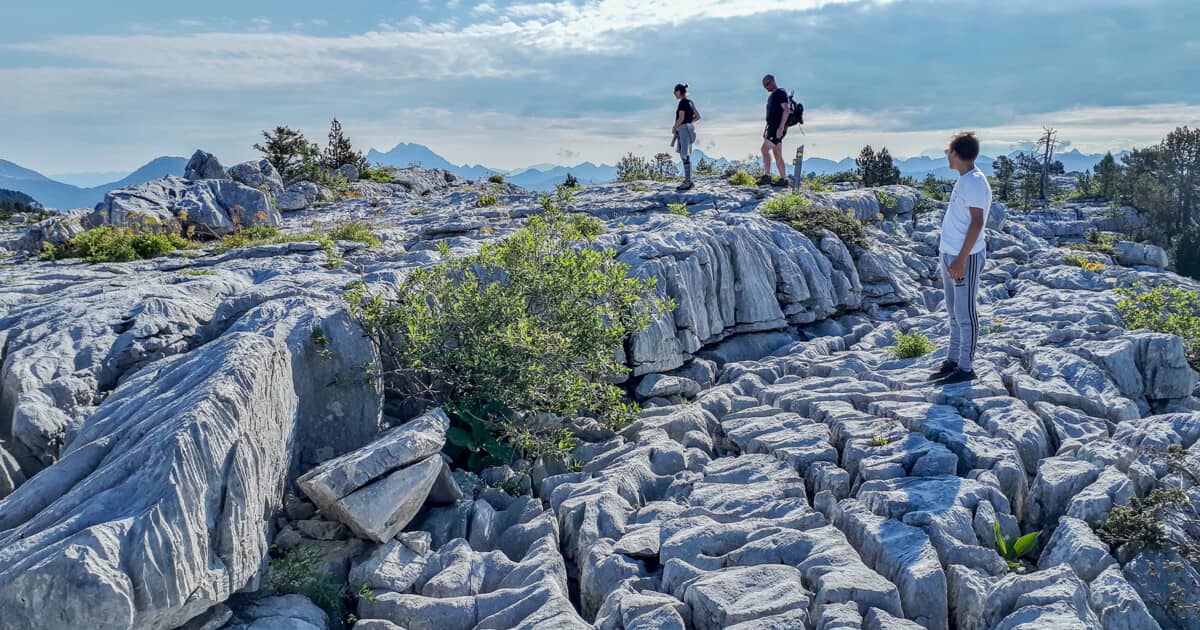 Otherworldly Limestone Plateau
