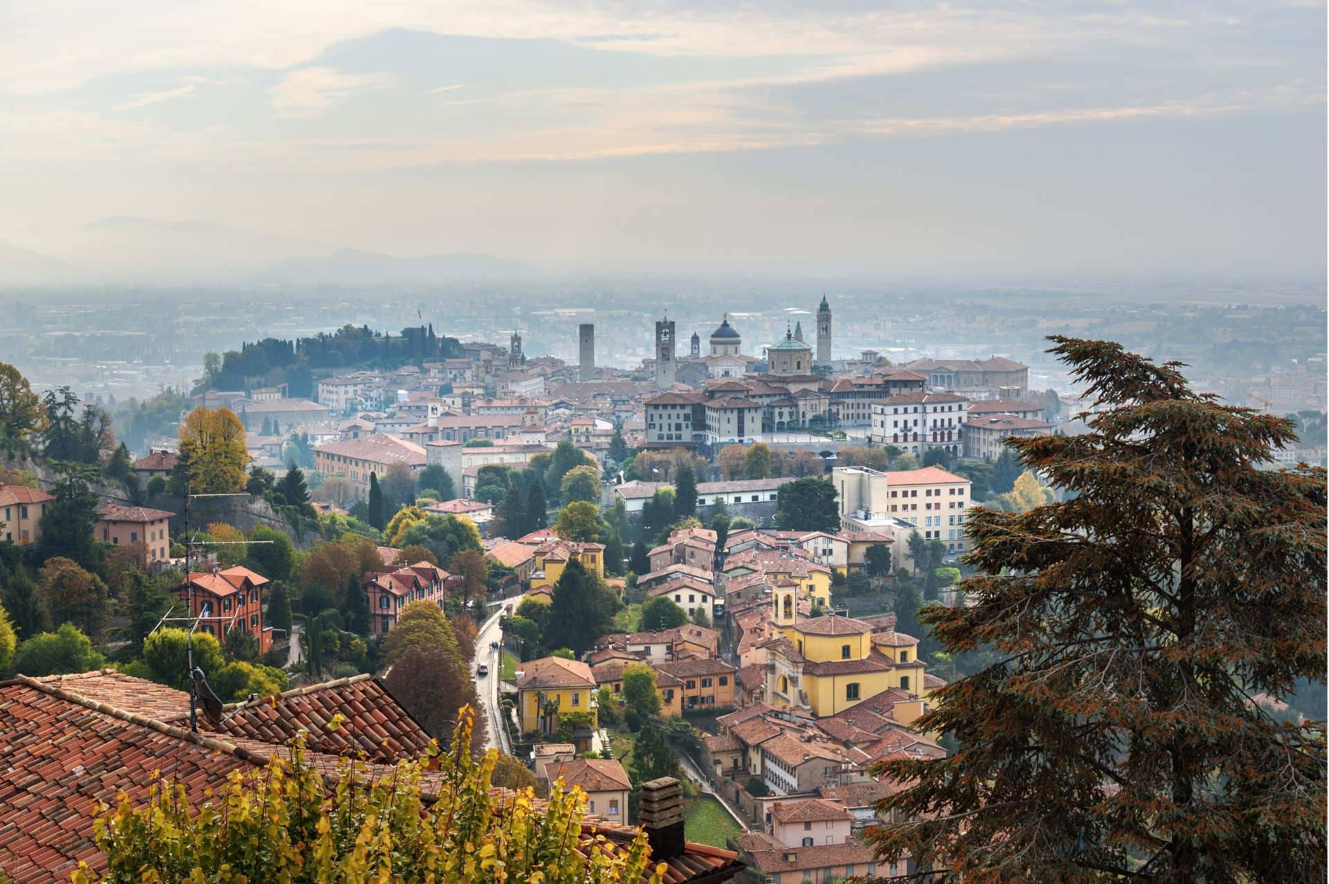 Highlights