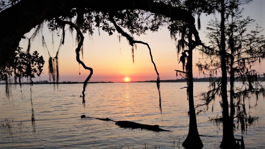 Mobile-Tensaw Delta Views