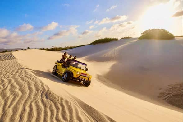 Buggy Rides on Dunes