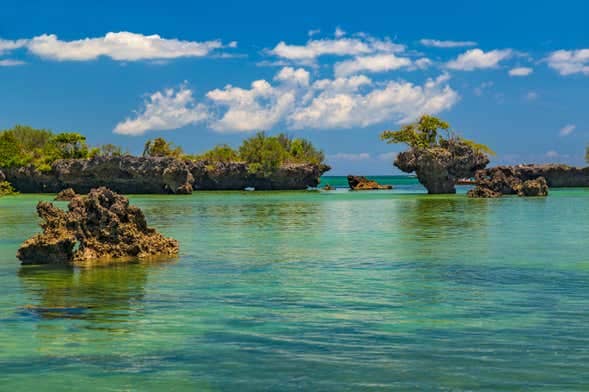 Kwale Island & Lagoon