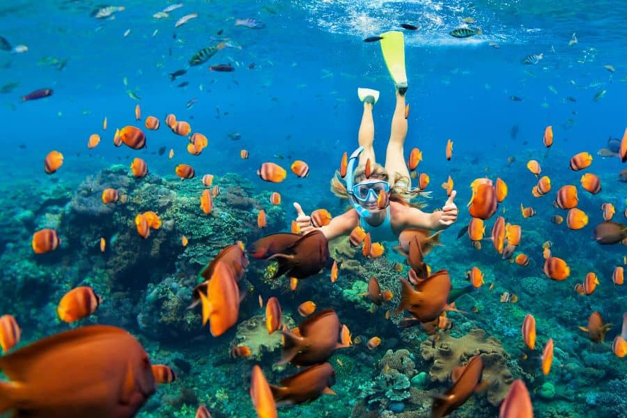 Vibrant Coral Reefs