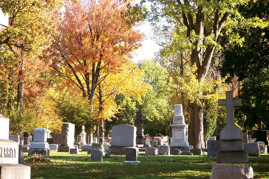 Mature Arboretum