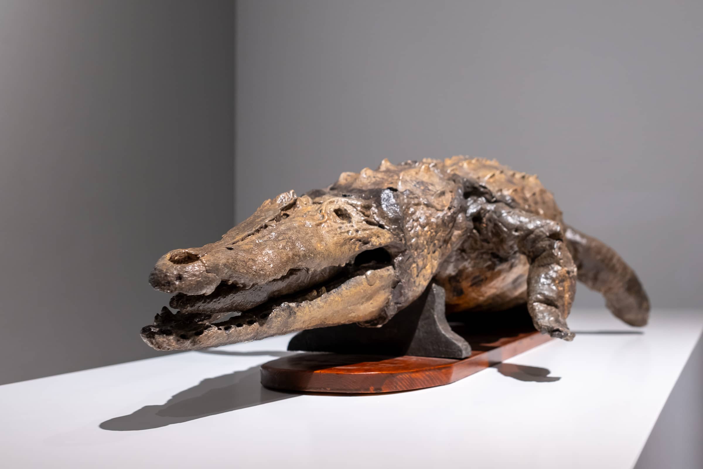Hidden Animal Sculptures