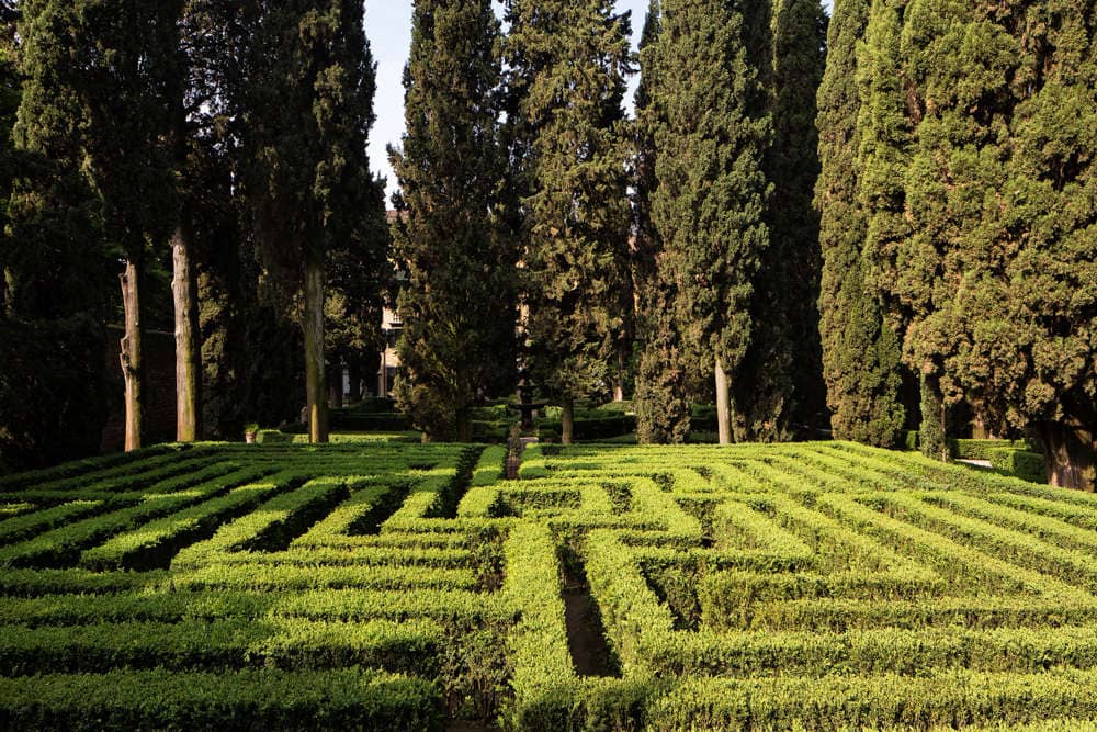 The Labyrinth