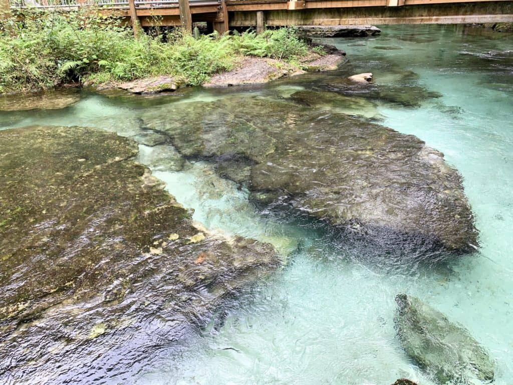 Stream-side Scenery