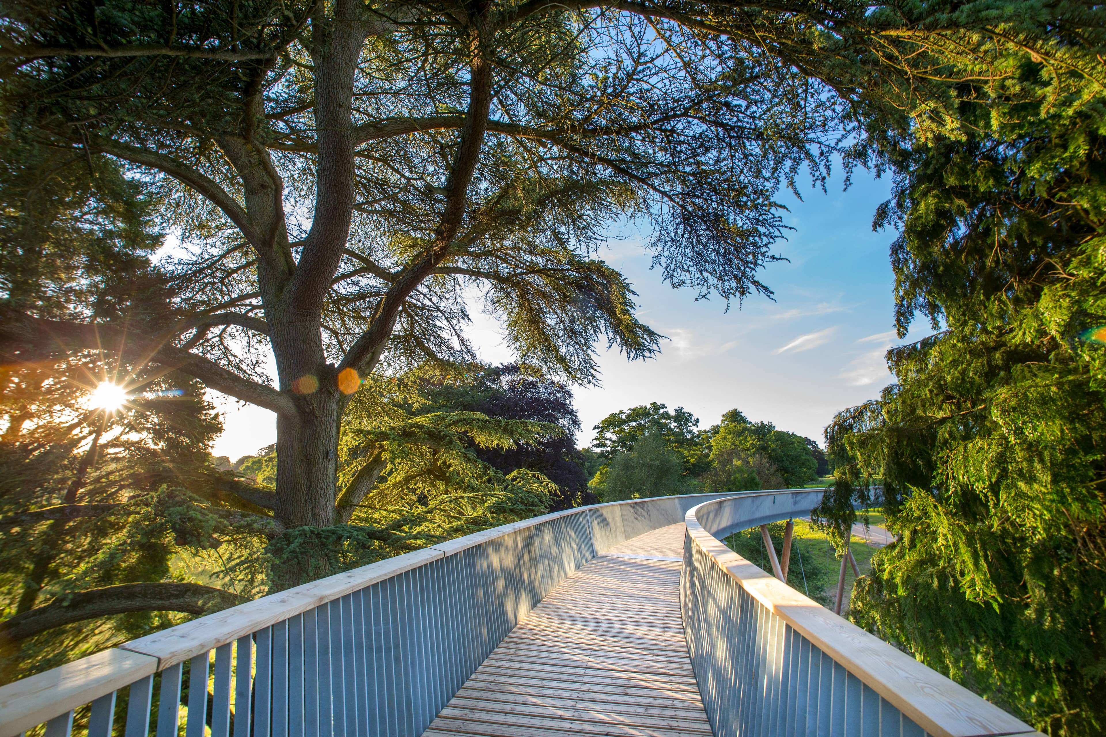 Treetop Walkway