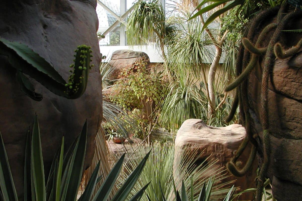 Biomes & Themed Gardens