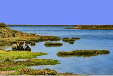Ria Formosa Natural Park