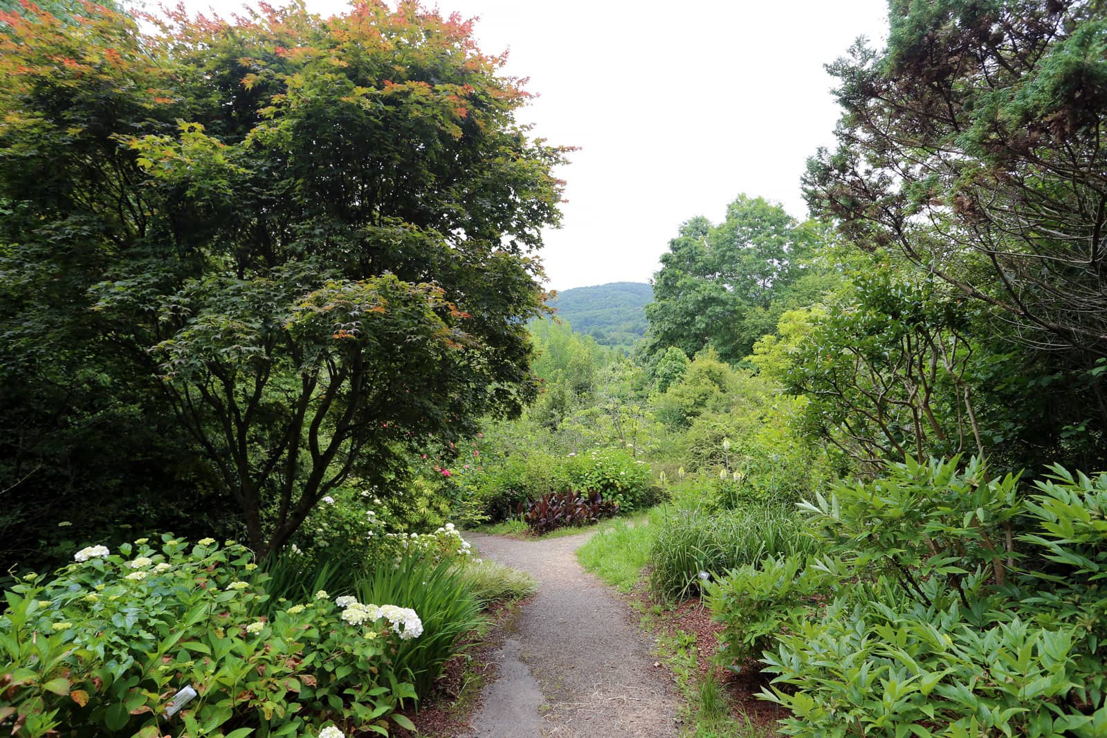 Botanical Garden