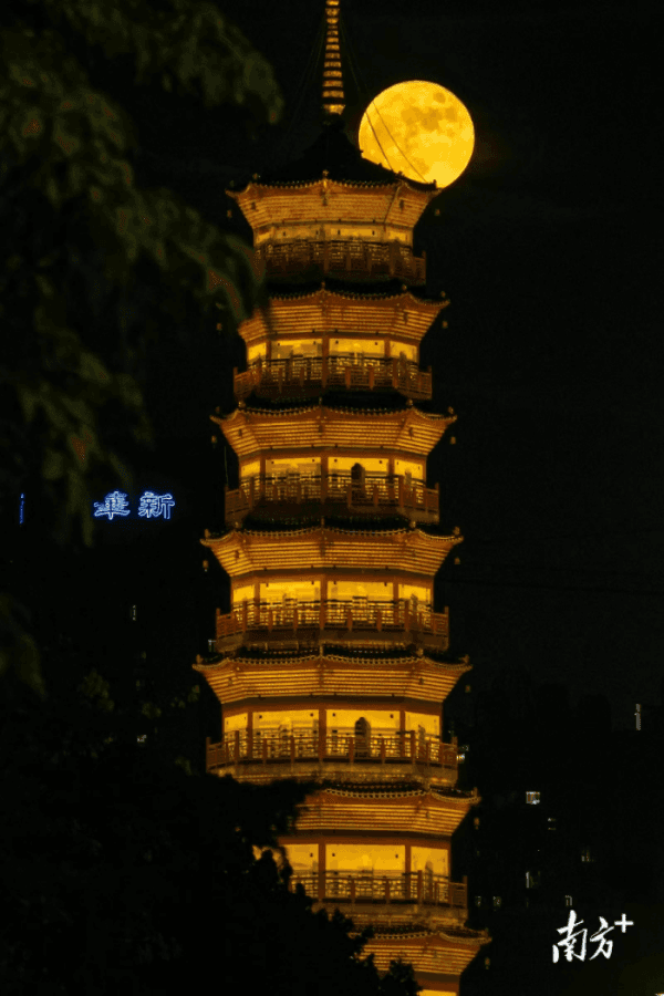 Vibrant Nighttime Illumination