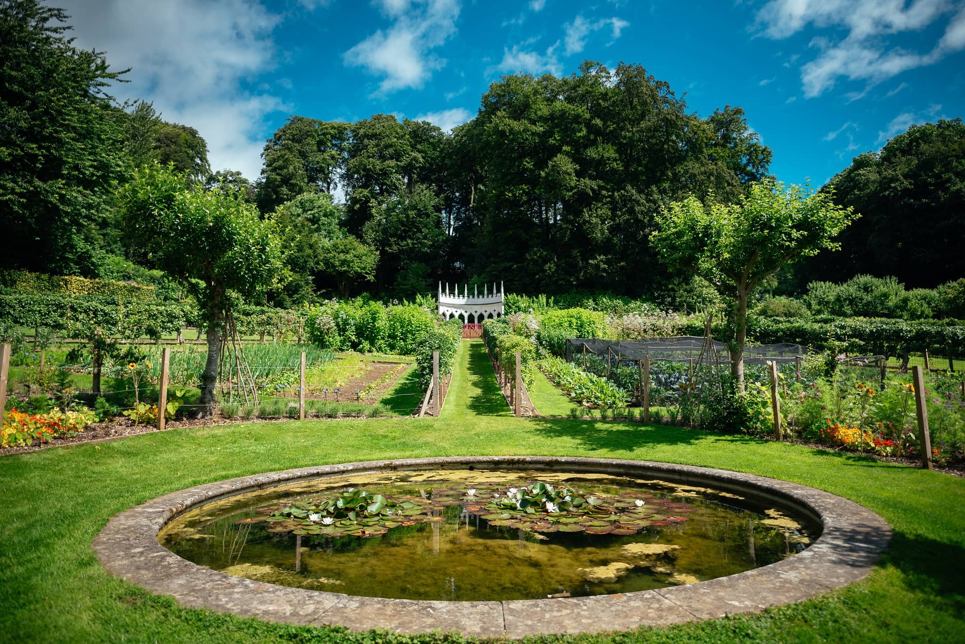 The Kitchen Garden