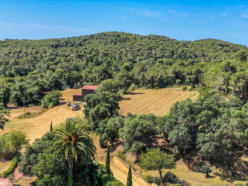 Domini de Sant Pere Winery