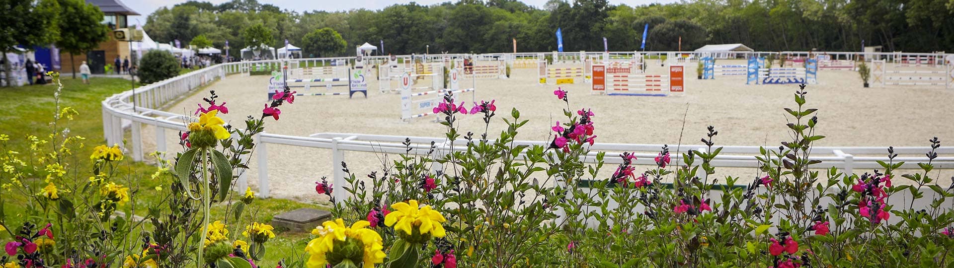 Equestrian Arenas