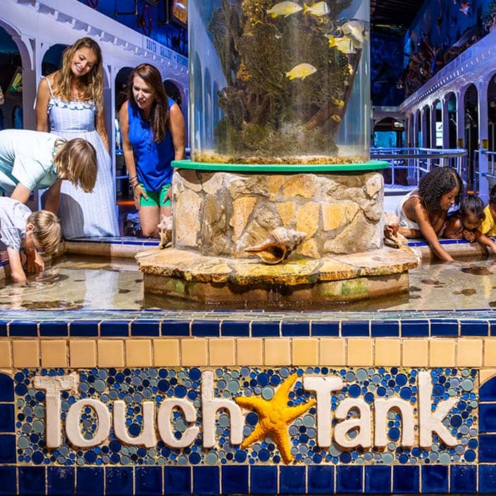 Highlights