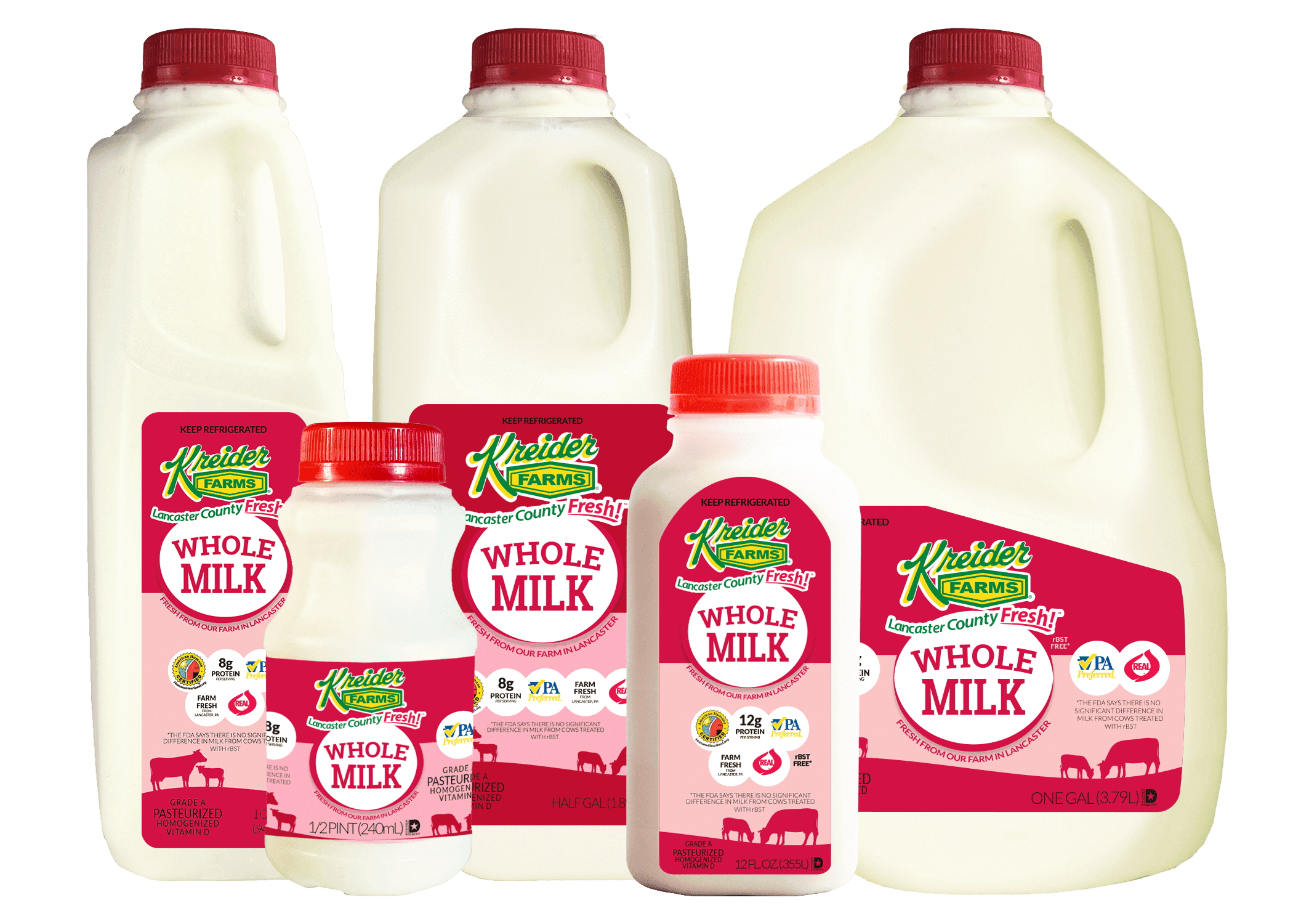 Fresh Milk Tasting