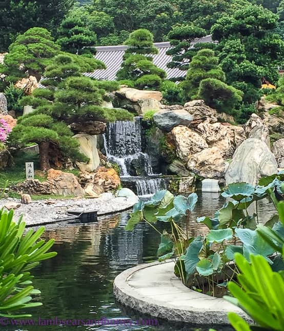 Waterfalls and Koi Ponds