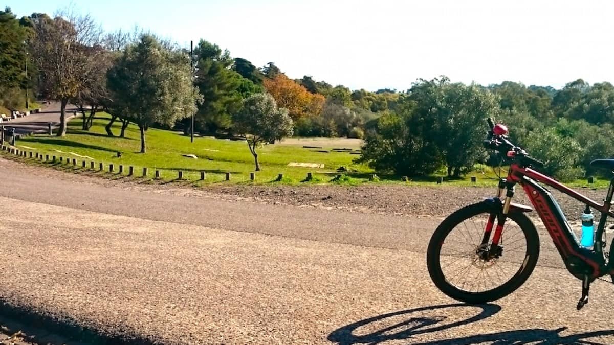 Adventure on Mountain Biking Trails