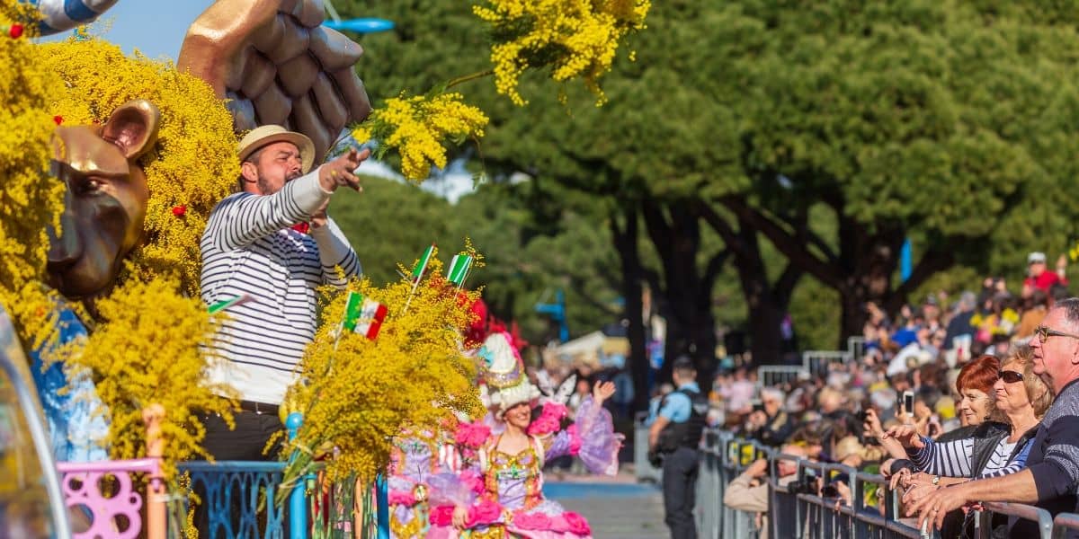 Mimosa Festival