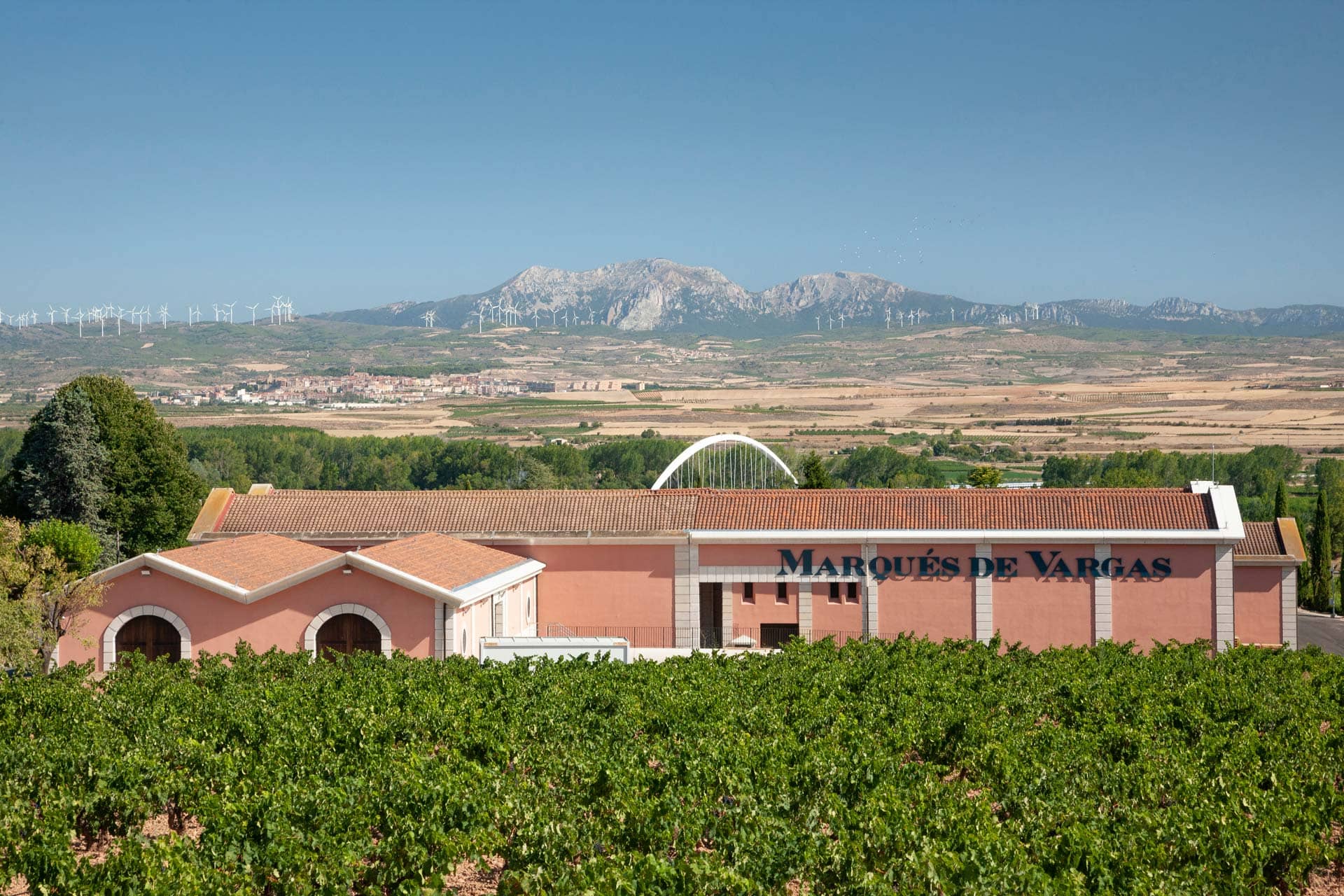 Sustainable Vineyard Experience