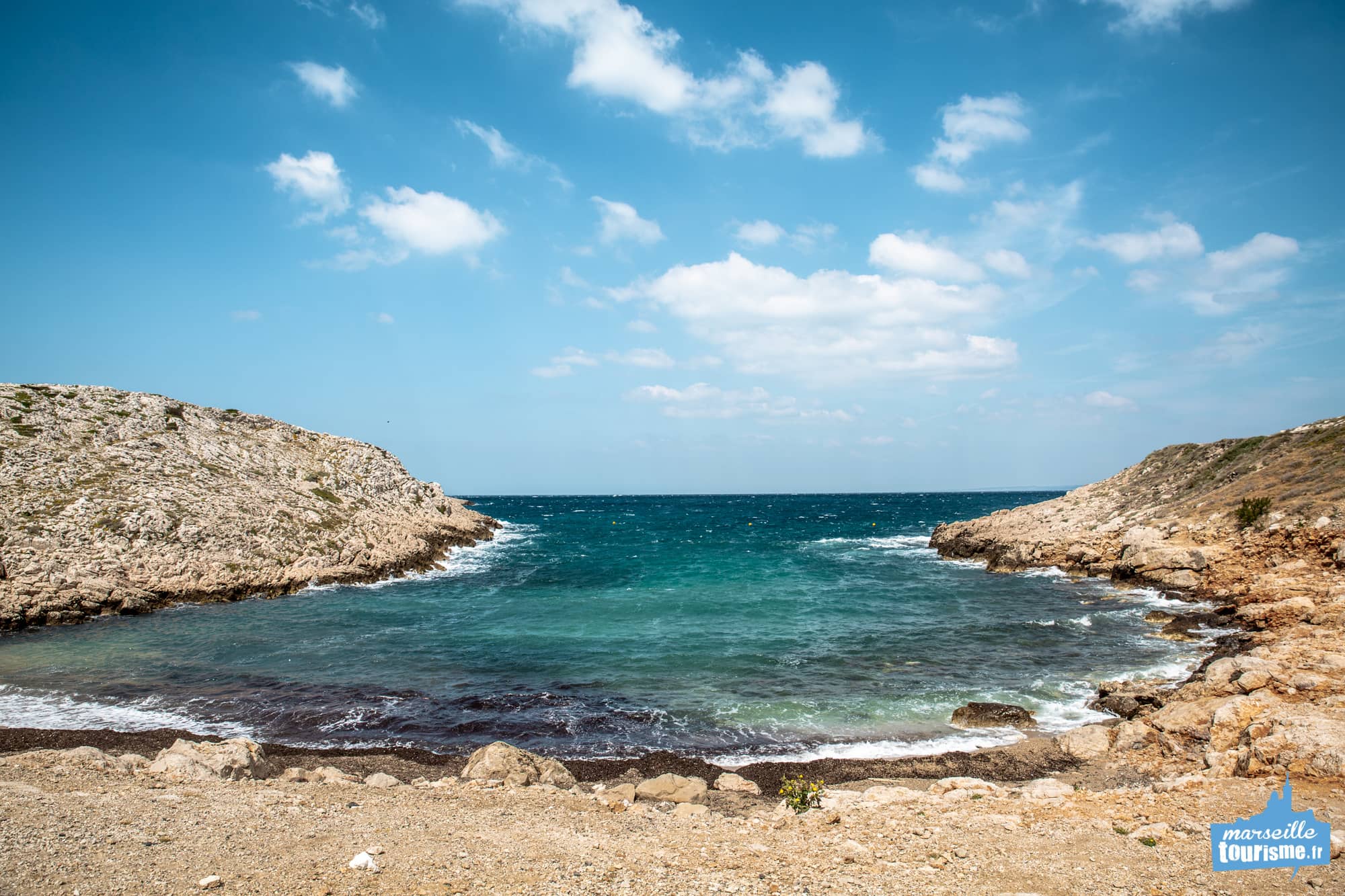 Highlights