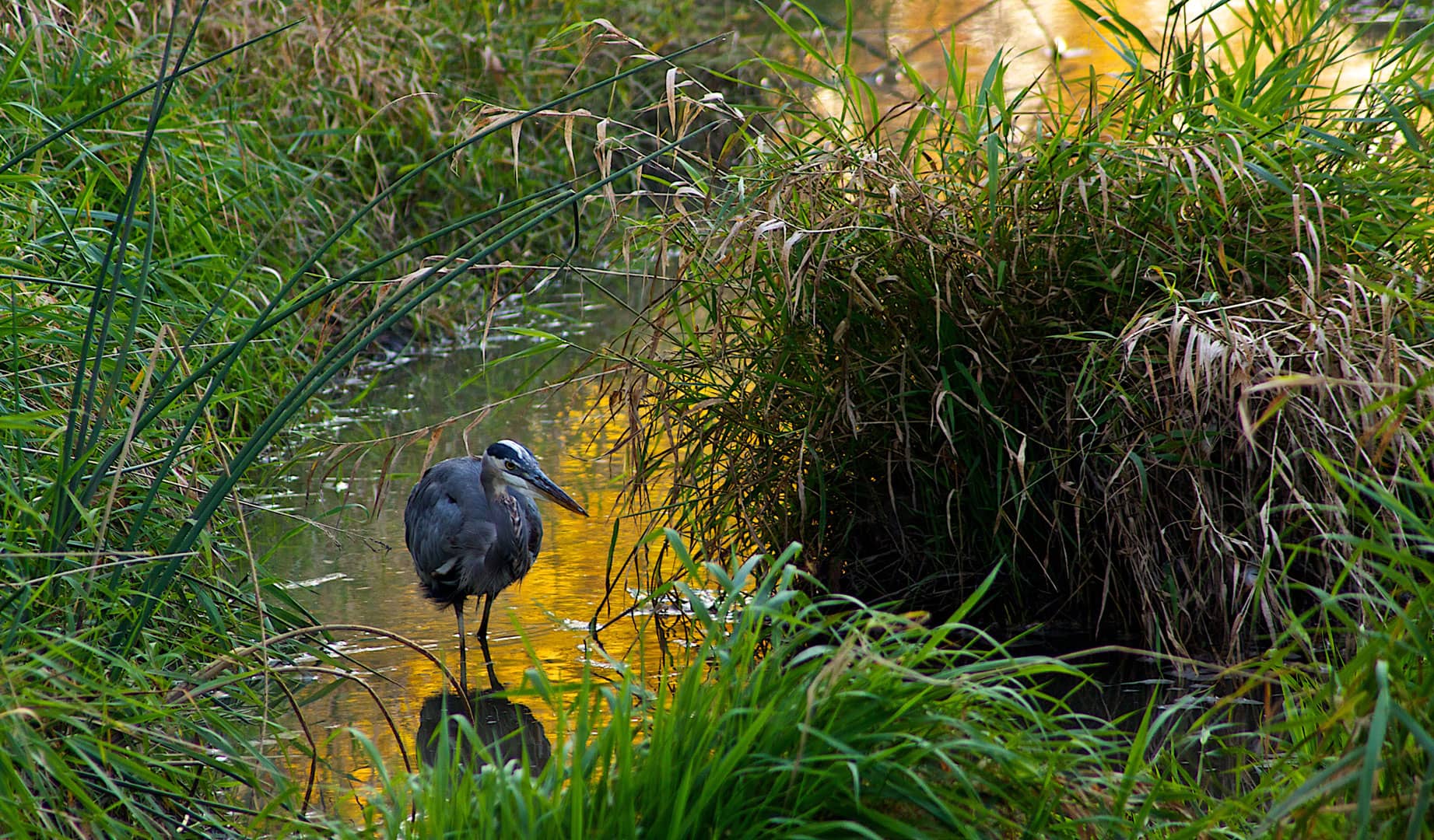 Birdwatching Paradise