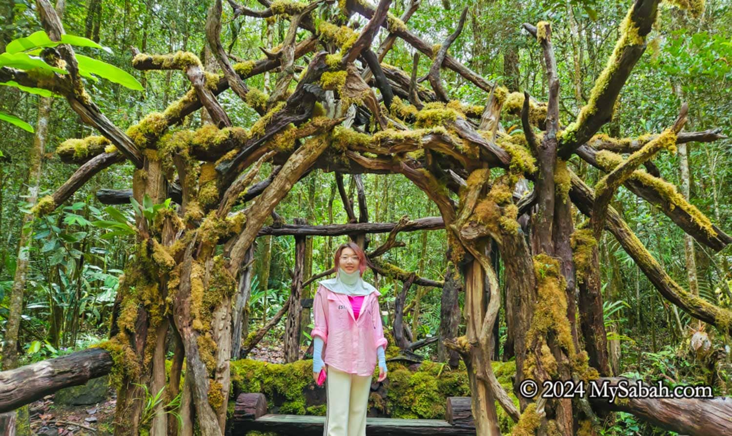 Botanical Gardens