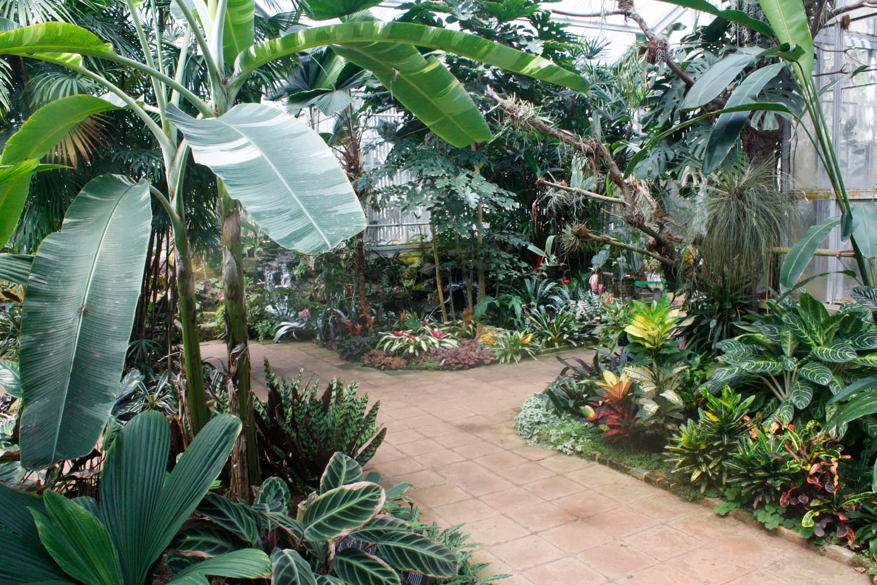 Tropical Conservatory