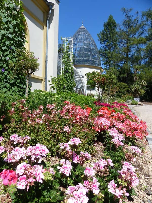 Rose Garden