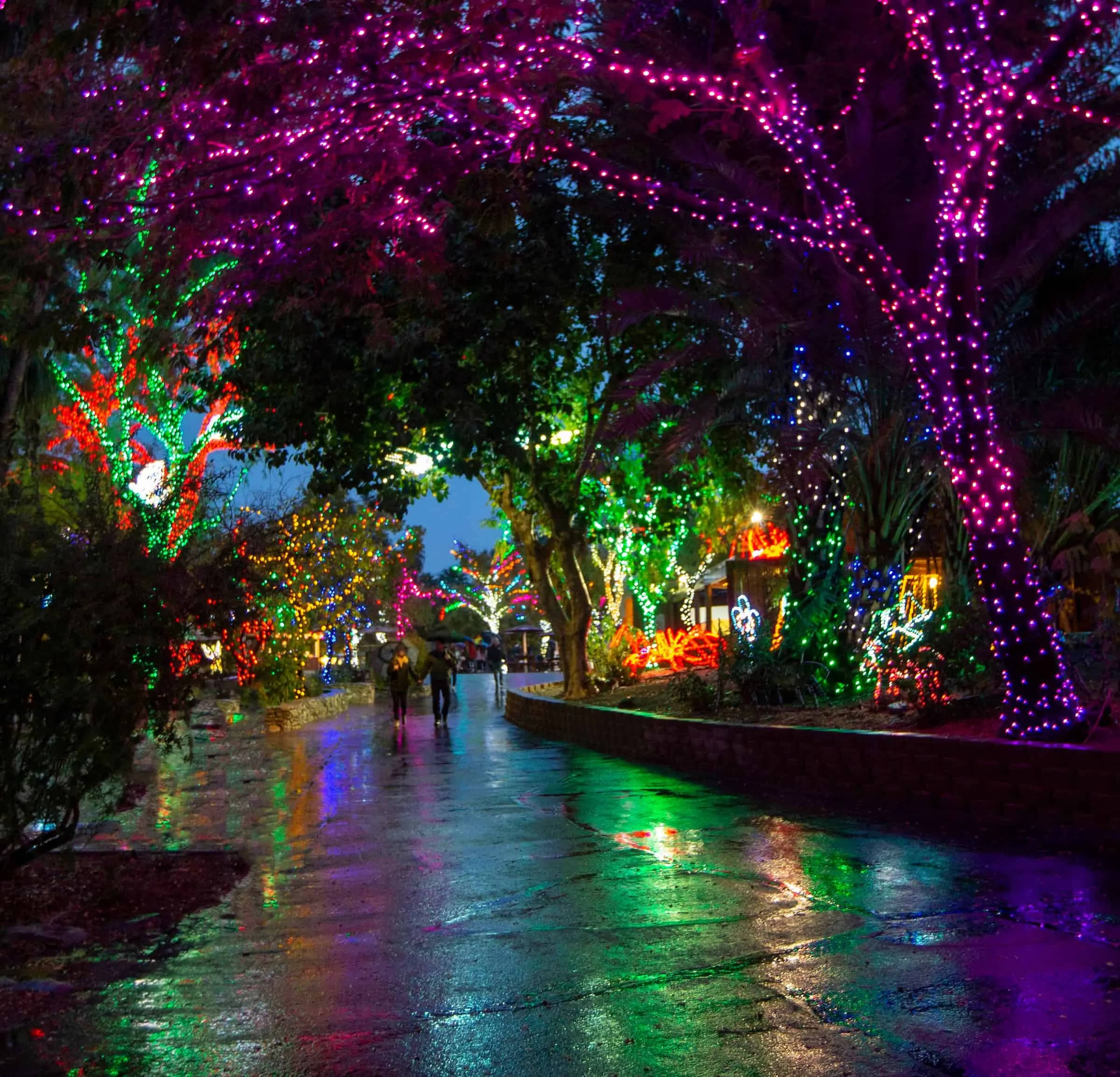 ZooLights