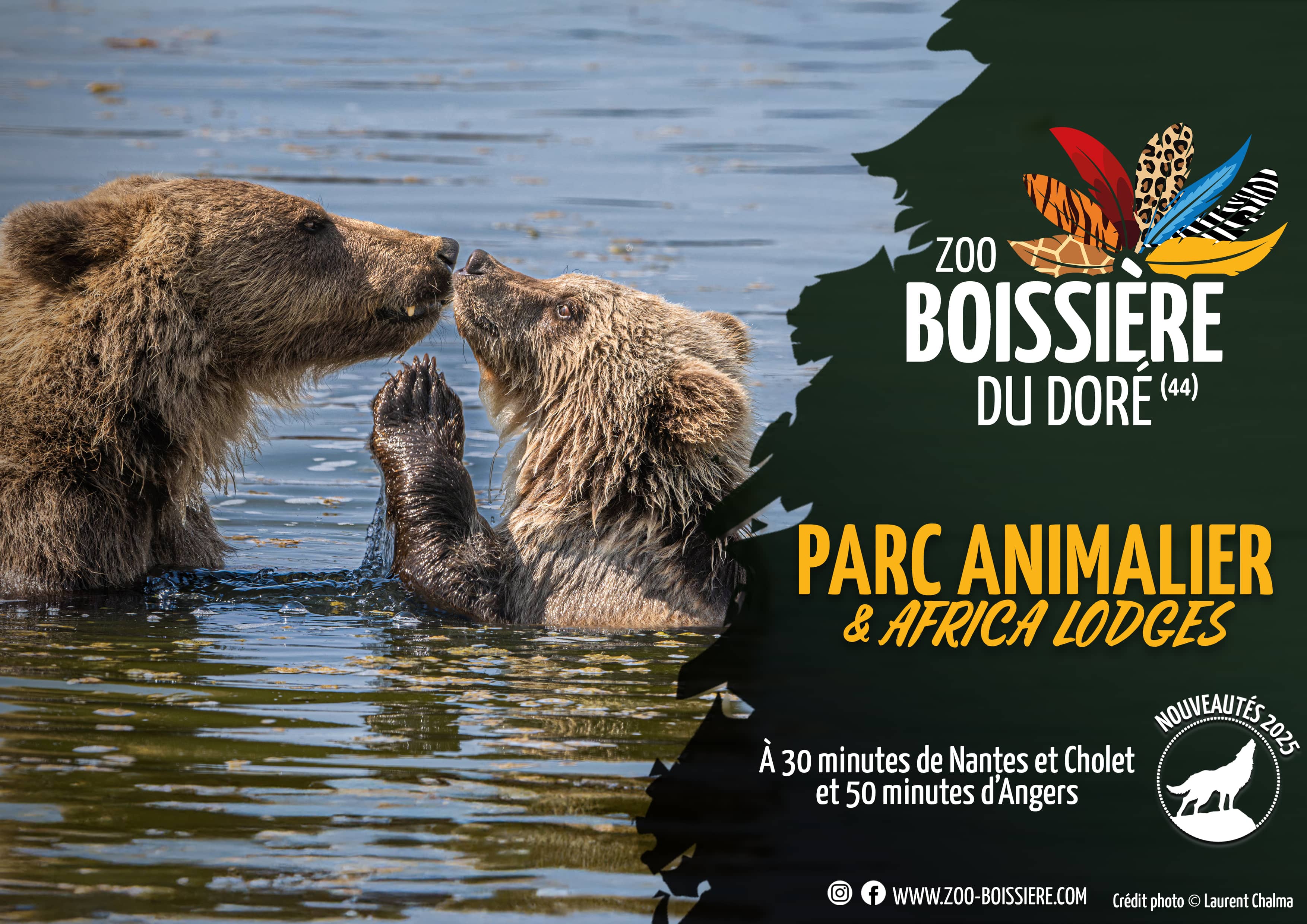 Orangutan & Brown Bear Habitats