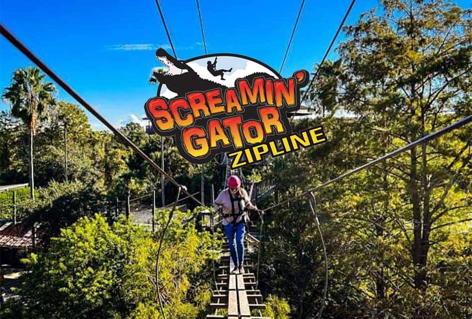 Screaming Gator Zip Line