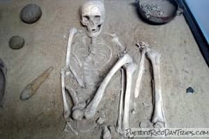 Indigenous Artifacts and Mummies