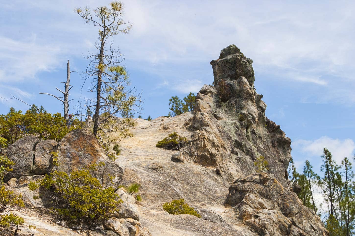 Redwood to Cloud Transition