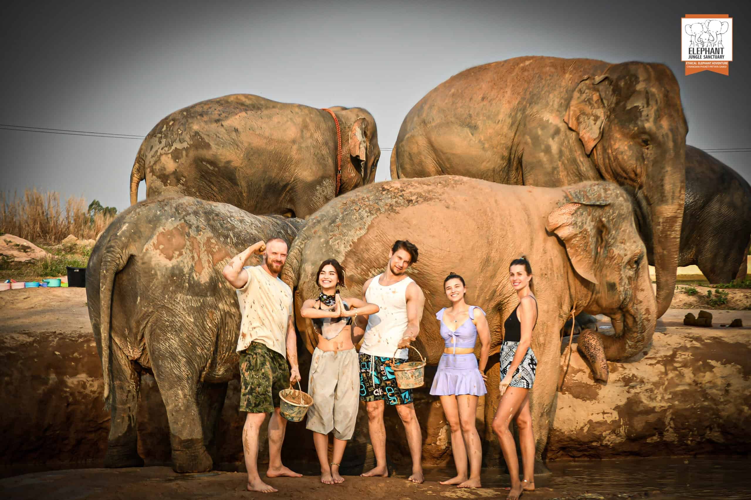 Elephant Poop Paper Making
