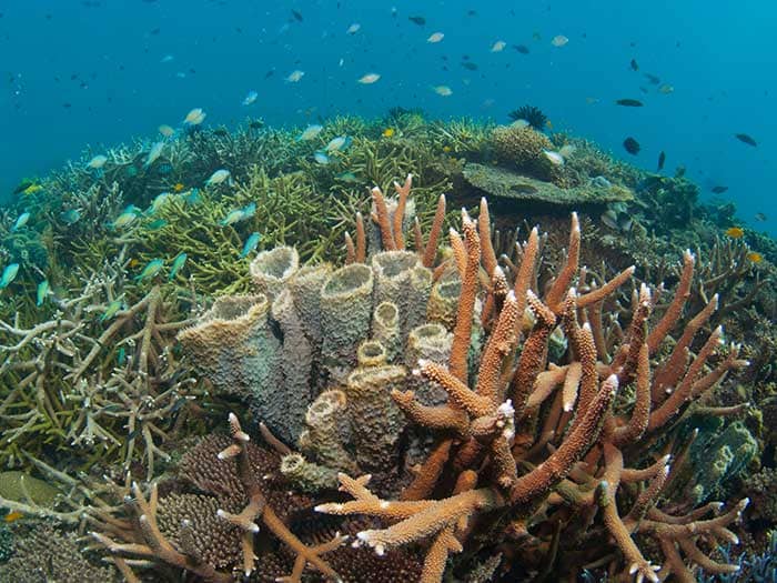 Highlights