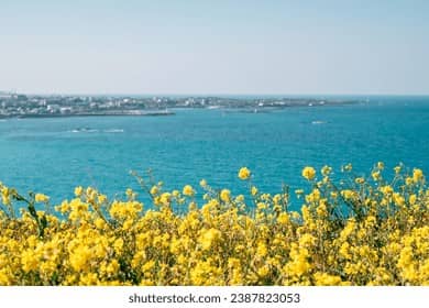 Coastal Vistas