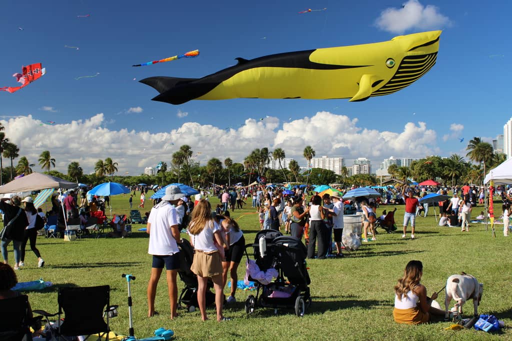 Kite Festival Spectacle