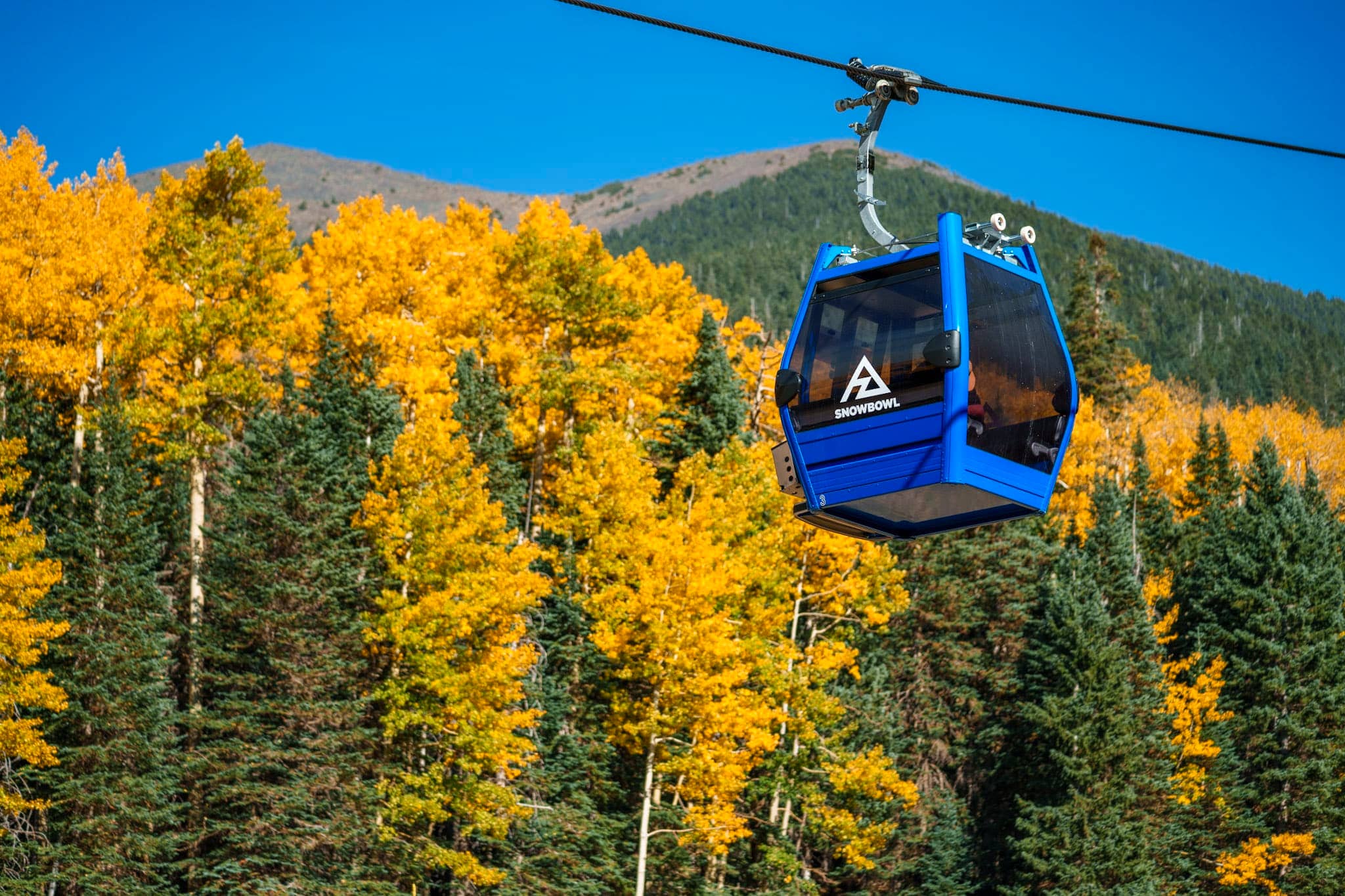 Fall Foliage