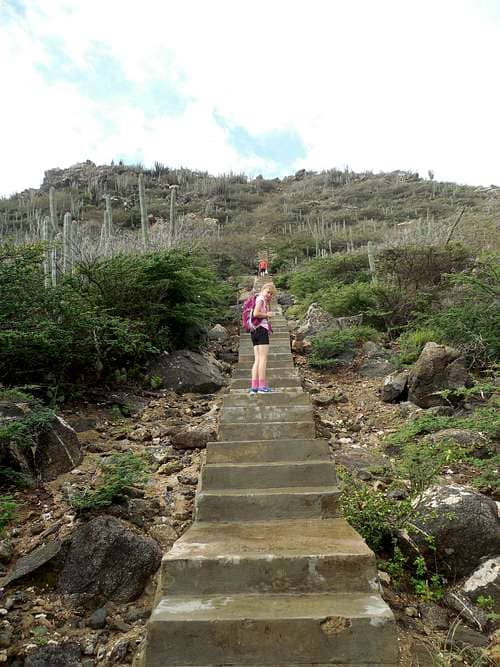 The 700+ Step Ascent