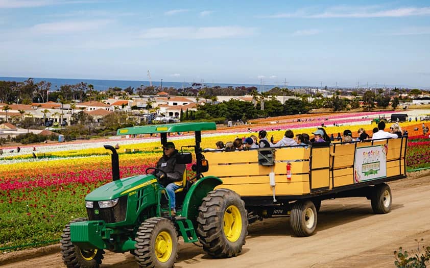 Tractor Wagon Ride