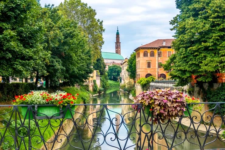 Lush Greenery and Serene Atmosphere