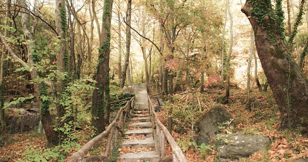 Scenic Walking Paths