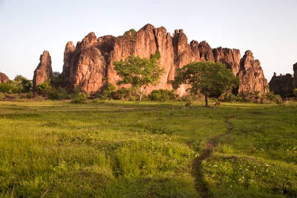 Highlights