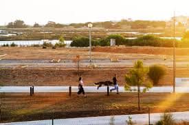Extensive Walking and Cycling Paths