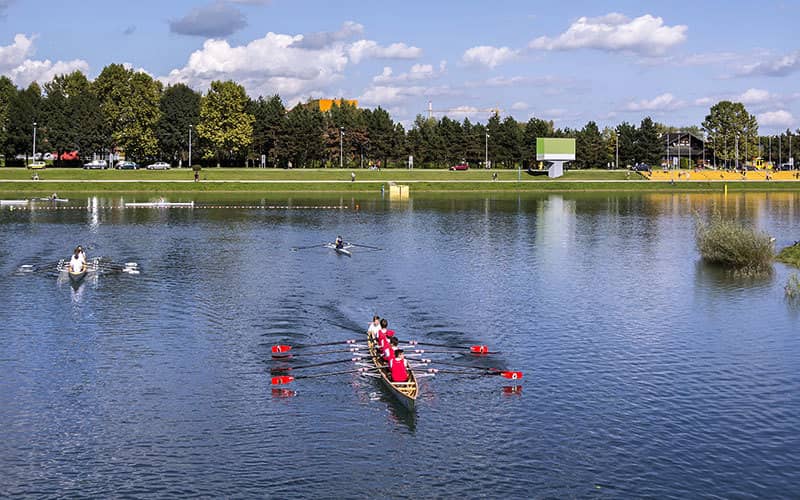 Sports & Recreation Hub