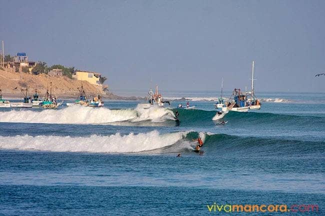 Surfing & Water Sports