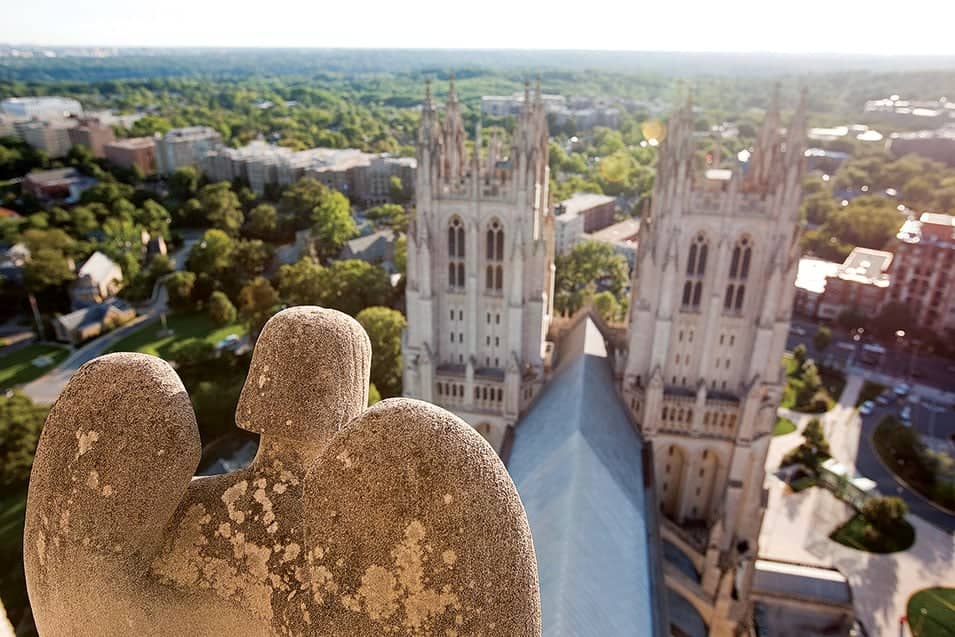 Tower Views