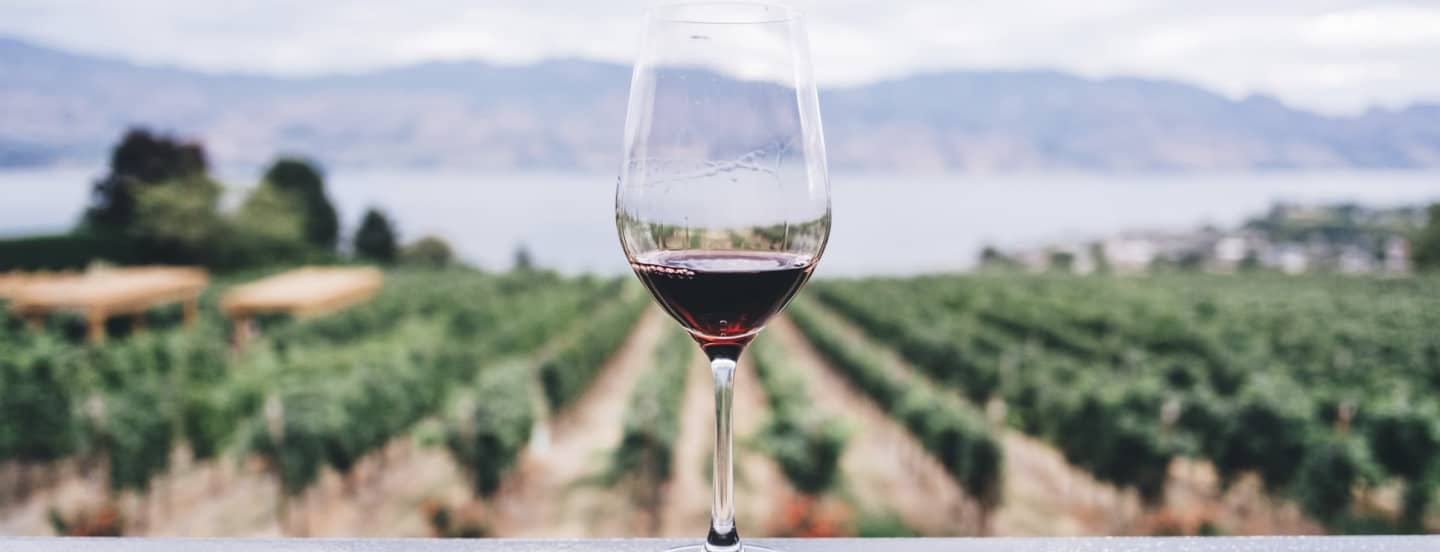 Wine Tasting & Vineyard Tour