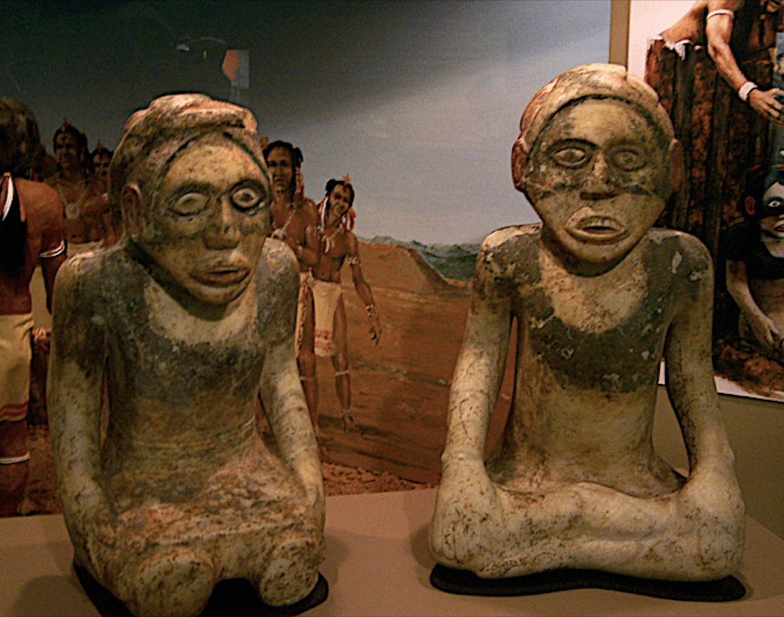 Artifact Collection